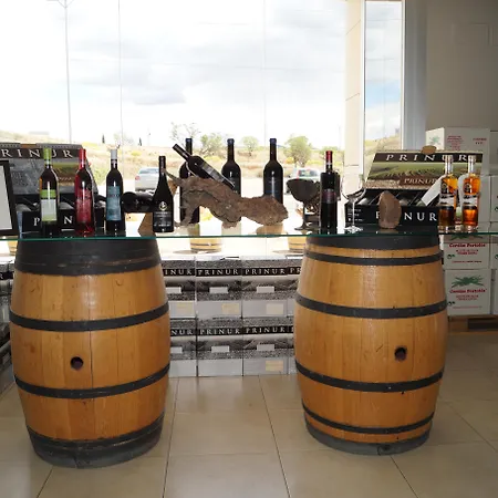 Hotel Del Vino Cariñena