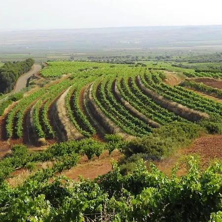 Del Vino