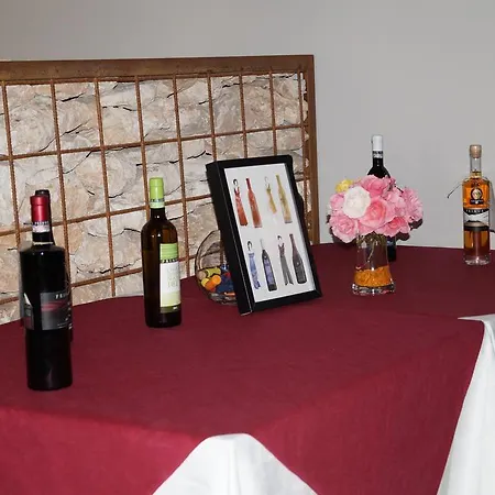 Hotel Del Vino Cariñena